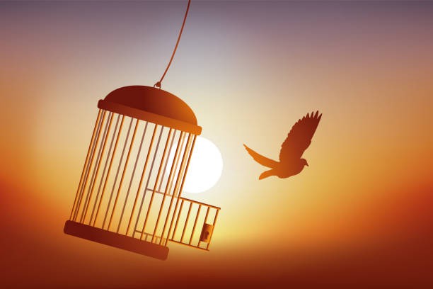 Free bird flying out of a cage.