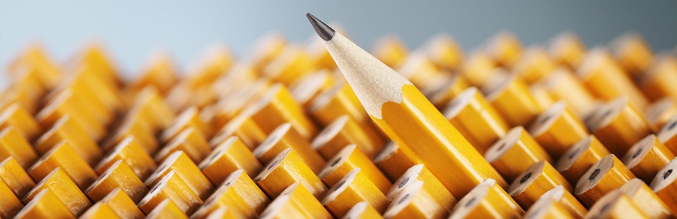 A group of pencils. They are lined up.